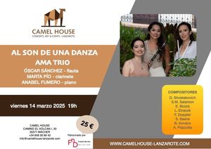 Flyer des Events «AL SON DE UNA DANZA»